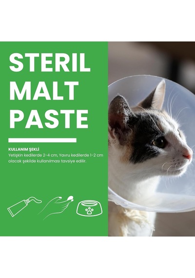 Tr Steril Paste Kısırlaştırılmış Kediler İçin Vitamin Macun 100g