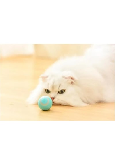 River World Köpekler İçin Akıllı İnteraktif Oyuncak