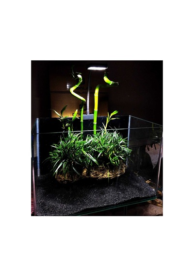 Nano M1-b Beyaz 6500 Kelvin