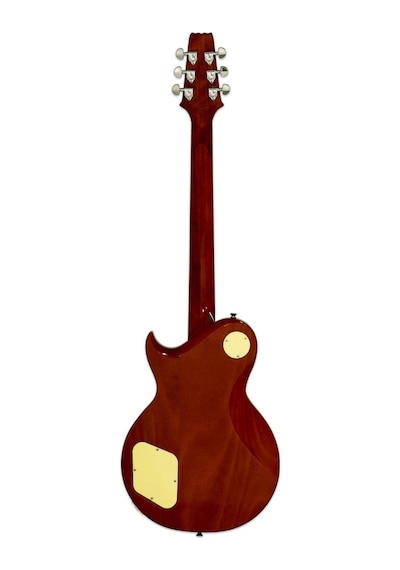 Aria Pro Iı Pe350pgagld Elektro Gitar Hh Rw