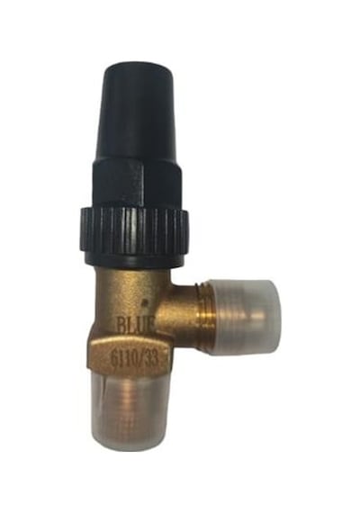 Blue Blr-6110/22 1/4''sae-1/4''npt Depo Vanası