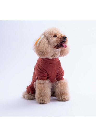 Bordo Berry Hedge Köpek Tulumu Köpek Kıyafeti Kedi Kıyafeti