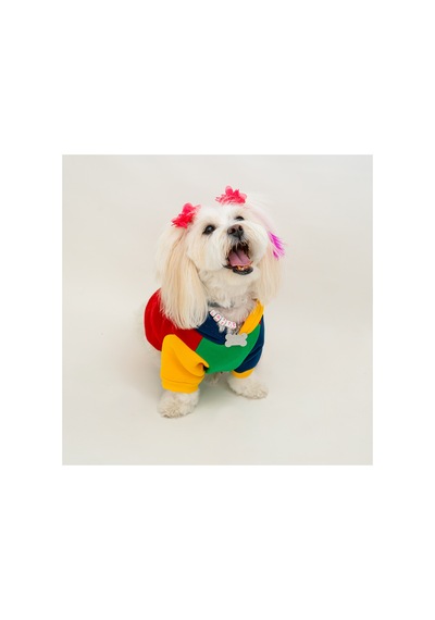 Premium Kapüşonlu Kedi Ve Köpek Sweatshirt Renkli Şık Pet Elbisesi