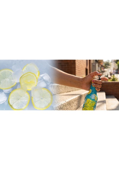 Bir Churchill Efsane Lezzet Limon Aromalı Doğal Mineralli Gazlı İçecek - Tuzlu - 24 Adet