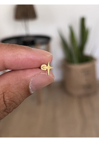 316 L Cerrahi Çelik Tragus Helix Kıkırdak Conch Minimal Kutup Yıldızı Piercing Gümüş - Çok Renkli