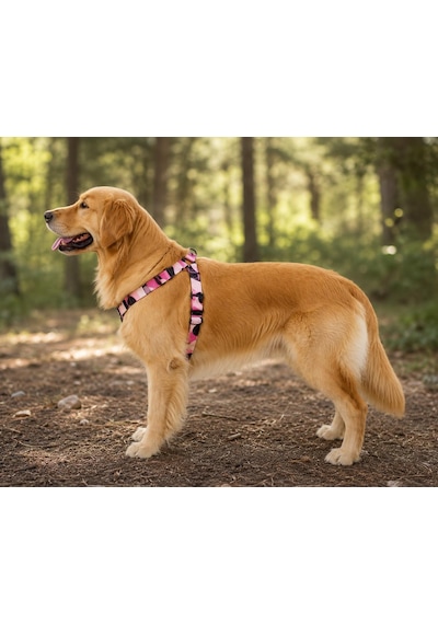 Ally Paws Pembe Köpek Göğüs Tasması Göğüs: 48 Cm X 70 Cm Çok Renkli
