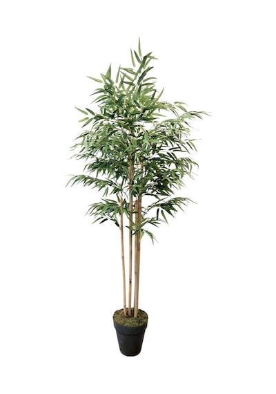 Yapay Ağaç Lüks Bambu Salon Bitkisi 6 Gövdeli 180 Cm Çok Renkli