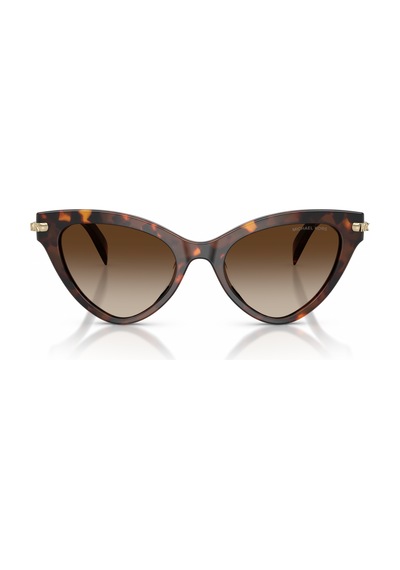 Michael Kors Güneş Gözlüğü Mk2259u 52 403113 Havana