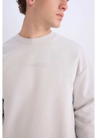 DeFacto Boxy Fit Bisiklet Yaka Baskılı Sweatshirt X8282AZ24AUGR184