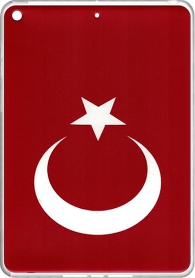 Apple Uyumlu iPad Mini 2 3 Baskılı Silikon Kılıf Bk-153