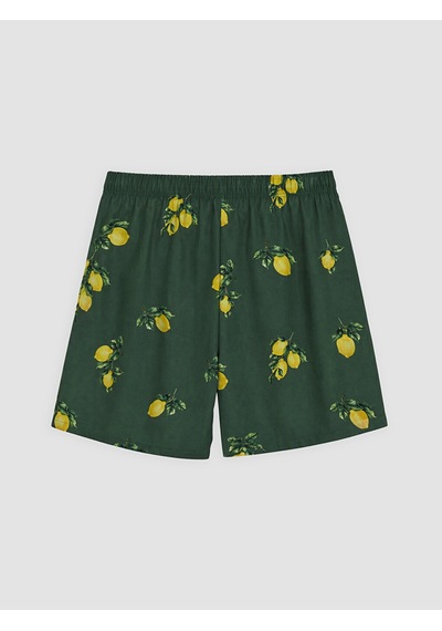 Lcw Swımwear Yeşil Kısa Limon Desenli Erkek Deniz Şortu