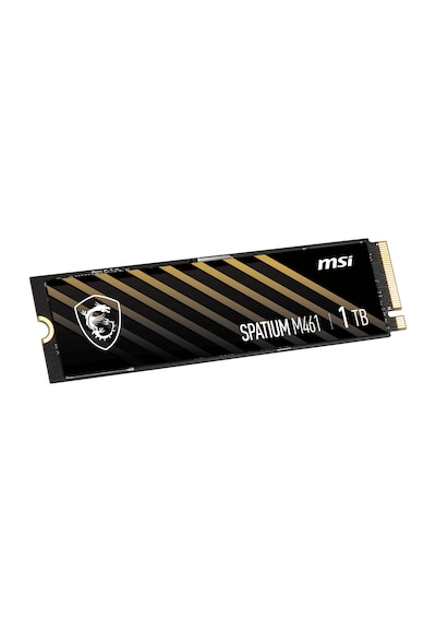 Msı 1tb Spatıum M461 5000-3200mb/s M2 Nvme Gen4 Disk