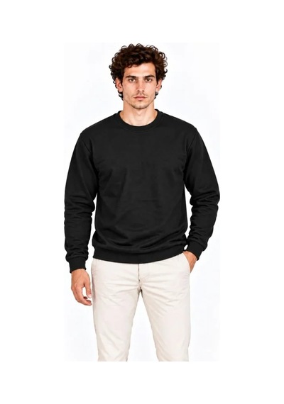 Erkek Bisiklet Yaka İçi Şardonlu 2 İplik Düz Uzun Kollu Regular Fit Sweatshirt - Siyah