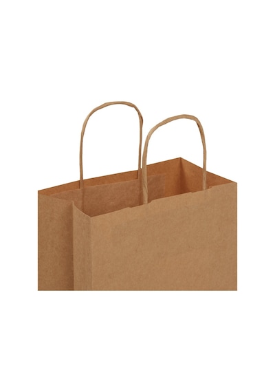 Packanya 18 x 8 x 23 - 200 Adet Burgu Saplı Kraft Çanta