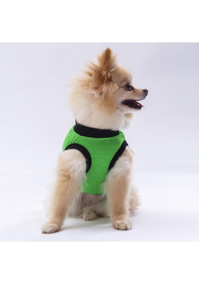 Pawstar Yeşil Travel Kedi Köpek Tişörtü Kıyafeti