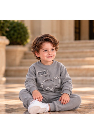 Maxx Kelın Erkek Çocuk Gri Dinozor Baskılı 2'li Takım Sweatshirt Ve Pantolon 6-12-18-24 Ay
