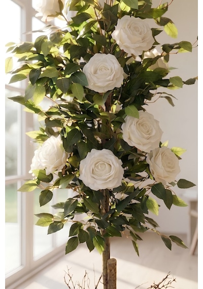 Yapay 10 Güllü Beyaz Gül Ağacı 150 Cm 27x33 Siyah Küre Saksılı