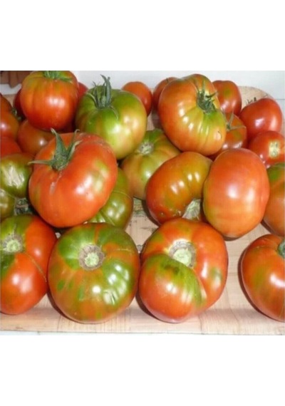 Yayla Domatesi Tohumu 15 Adet Tohum Alacalı Domates Tohumu