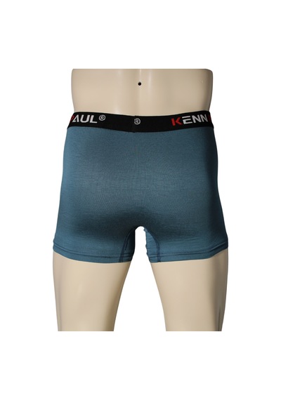 Kenn Paul Erkek İndigo Premium Bambu Boxer Modern Kumaş Erkek Boxer Çok Renkli Kenn Paul Erkek İndigo Premium Bambu Boxer Modern Kumaş Erkek Boxer Çok Renkli