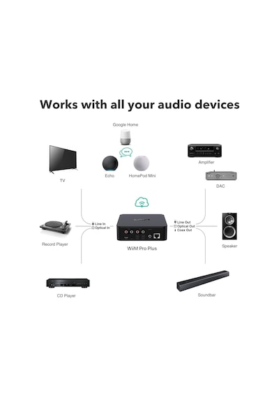Wiim Pro Plus Network Streamer