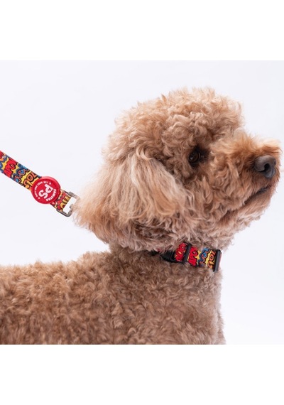 Wow Popart Desenli Köpek Boyun Tasması Ayarlanabilir Köpek Tasması Kırmızı