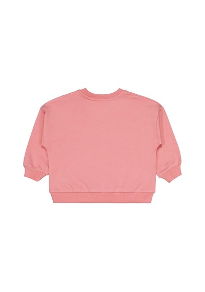 Civil Baby Ayıcık Baskılı 3'lü Set 6-18 Ay Sweatshirt - Standart