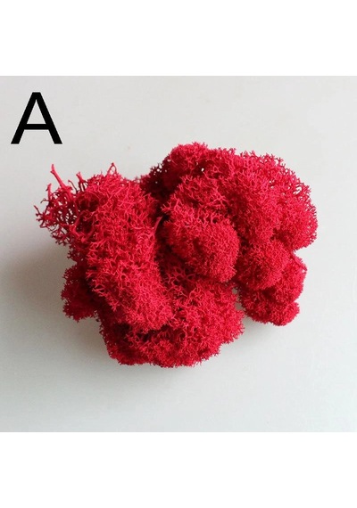 Reindeer Moss Kırmızı Şoklanmış Norveç Yosunu 30gr
