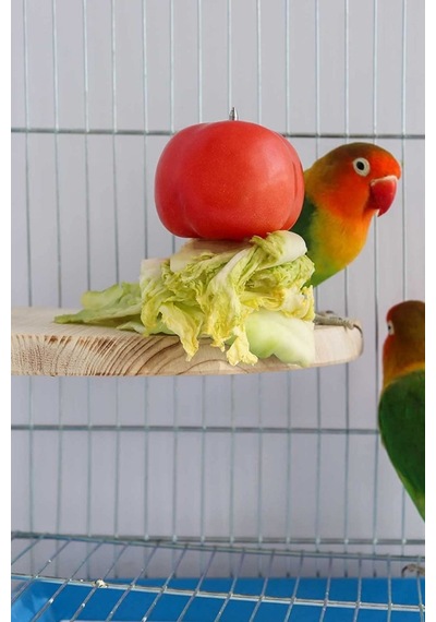 Çeyrek Daire Çivili Kuş Hamster Yemek Mama Tüneği, Uş Mama Tutucu, Doğal Ahşap Kuş Kafesi Tüneği