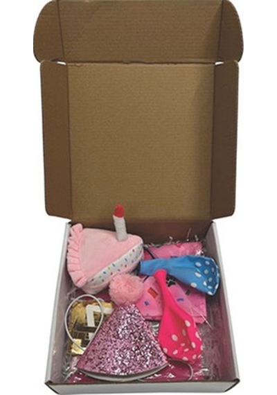 M-pets Party Time Dişi Köpekler İçin Doğum Günü Seti 20x20x7 Cm 244-50102.01