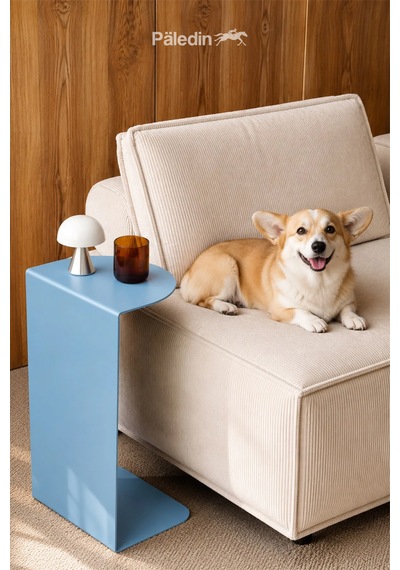 Paledin Design Corvus C Form Çelik Yan Sehpa Modern Koltuk Yanı Sehpası Turuncu 37x30x60 Cm Mavi