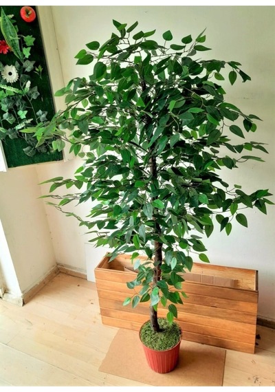 Yapay Benjamin Ağacı 1.60 Mt Boy Ficus Benjamia Islak Canlı Doku Doğal Görünüm Yeşil Karışık