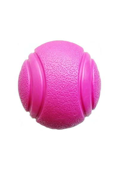 Nunbell Yavru ve Küçük Irk Zıplayan Sert Top Köpek Oyuncağı 4.5 CM