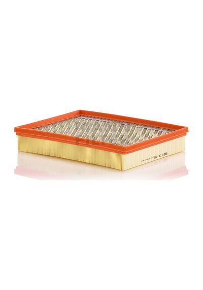 Mann Filter Hava Filtresi C30039