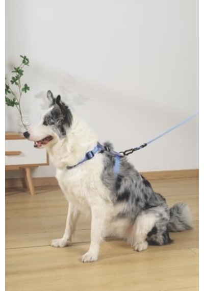 M-pets Gentle Dog Göğüs Tasması Mavi S