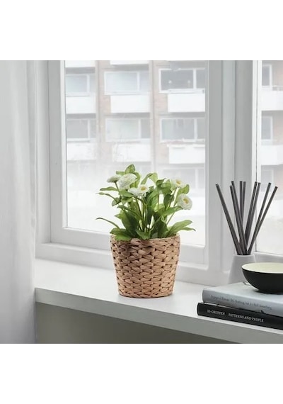 Sumuhome Frıdfull Rattan Saksı Hasır Su Sümbülü 12 Cm