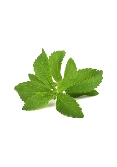 Paket 100 Tohum Stevia Tohumu Şekerotu Tohumu Şeker Otu