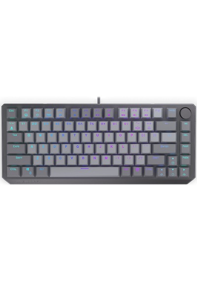 Thock V2 %75 Red Switch Hotswap Argb İngilizce Mekanik Gaming Klavye Ey5a127