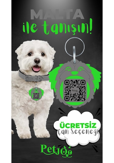 Petjoo 12.Malta Yeşil-Gri Qr'lı Köpek Künyesi