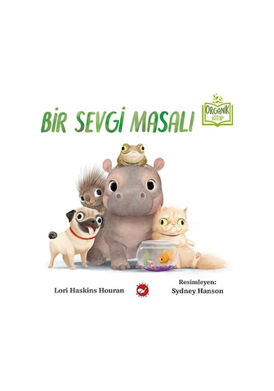 Bir Sevgi Masalı N11.4726