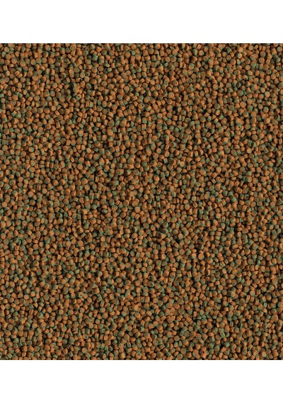 Tetra Cichlid Algae Mini Granules 250 G. Açık