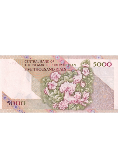 Iran 5.000 Riyal 1993 P145F Çil Eski Yabancı Kağıt Para