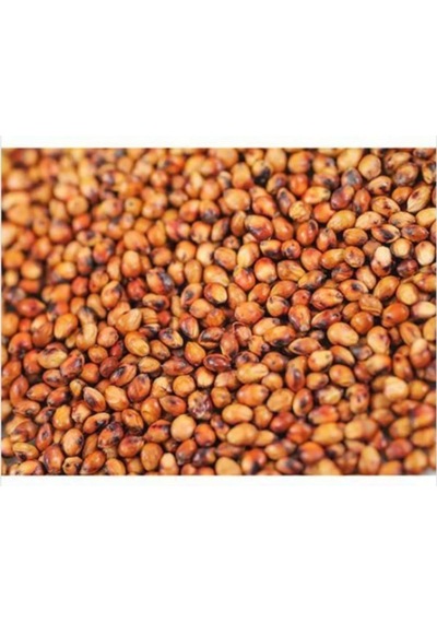 Sorgum Sudan Otu Tohum 5 Kg
