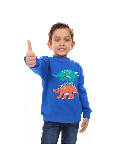 Toontoy Kids Toontoy Erkek Çocuk Nakışlı Sweatshirt Saks