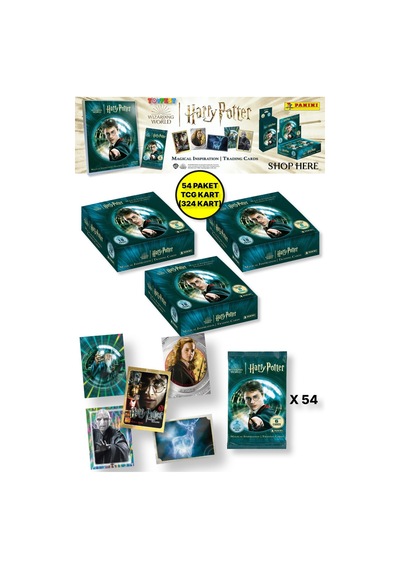 Panini Harry Potter Koleksiyonluk Trading Kart - 54 Paket 324 Kart