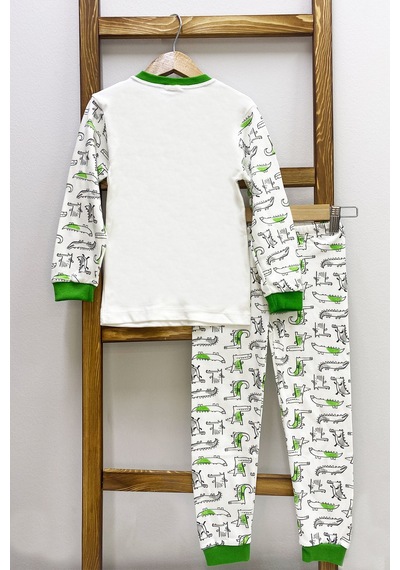 Hçm Erkek Çocuk Pijama Takımı Dinozor Baskılı Bisiklet Yaka C65 Yeşil