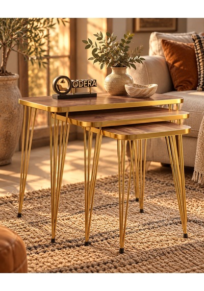 Odera Gold Ceviz Zigon Sehpa 3'lü Set Metal Tel Ayaklı Modern Retro Salon Sehpası Diğer