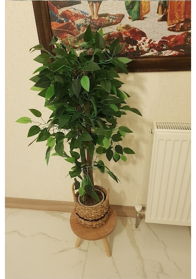 3'lü Ahşap Ayaklı Çiçeklik Saksılık Standı Dekoratif Yan Sehpa Seti 25 Cm Çap Atlantik Çam Diğer