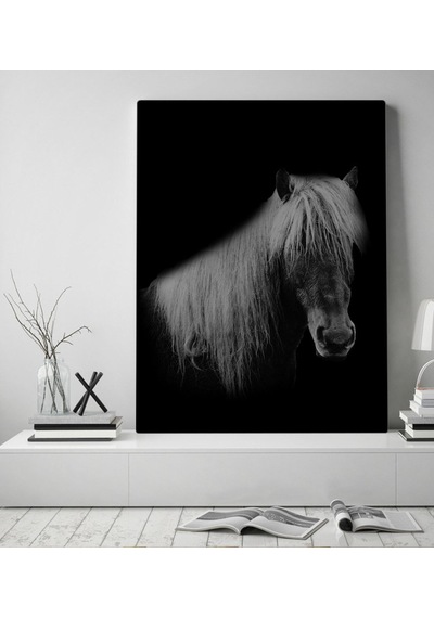 Bk Home At Tasarımlı Kanvas Tablo 50X70Cm-1 (496789301)