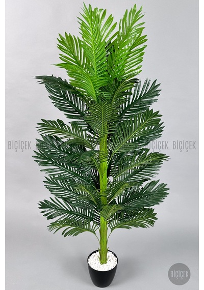 Yapay Areka Ağacı 160-180 Cm Bey