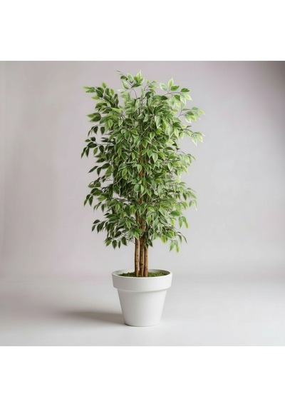 150 Cm Yapay Ficus Beyaz Plastik Saksı Dekoratif Ağaç